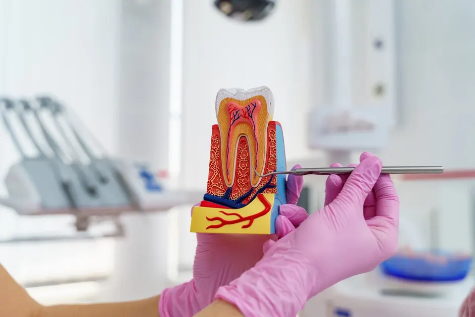 Patient receiving comfortable root canal treatment at Enclave Dental in Lake Mary, FL